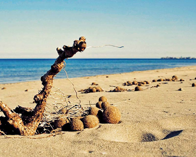 spiaggia marzamemi sabbia fine relax mare cristallino
